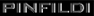 pinfildi.JPG (3703 byte)